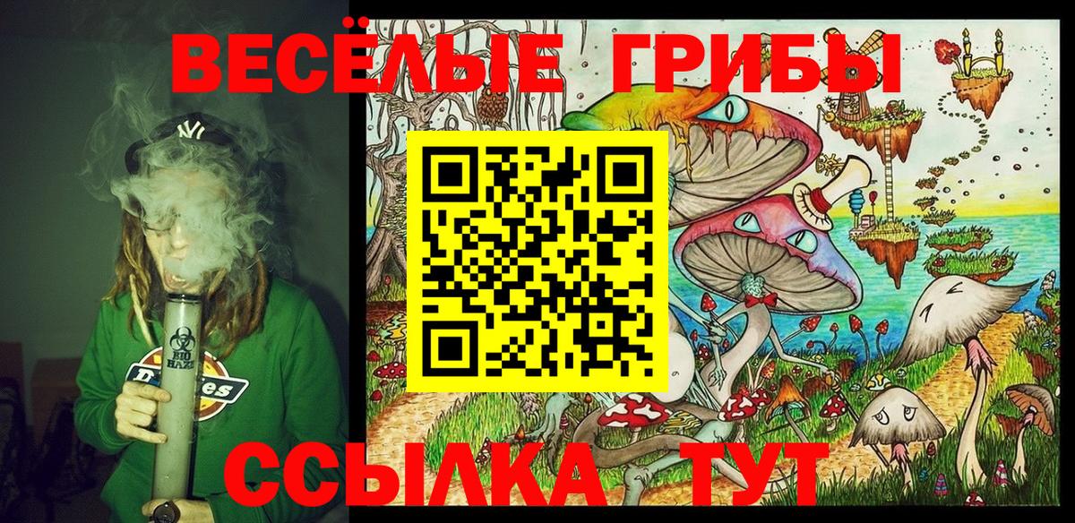 Псилоцибиновые грибы мицелий Балахна