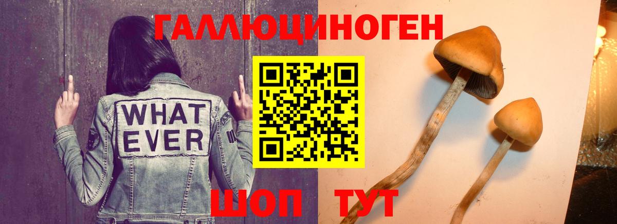 Балахна  наркота  Вход с VPN  Псилоцибиновые грибы мухоморы 